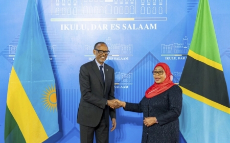 Kagame meets with Tanzania’s Suluhu