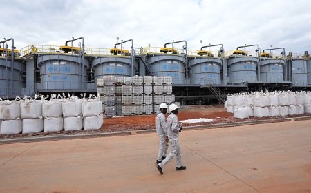 Zimbabwe Produces First Lithium Sulfate in Africa After US$400 Million Plant Launch