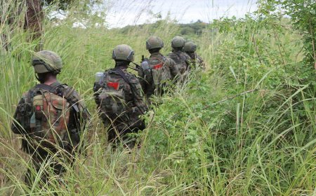 Rwanda in Mozambique: Five Important Facts About Its Cabo Delgado Mission