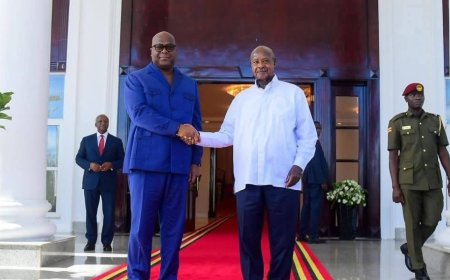 Yoweri Kaguta Museveni and Félix Antoine Tshisekedi Agree to Strengthen Military Cooperation