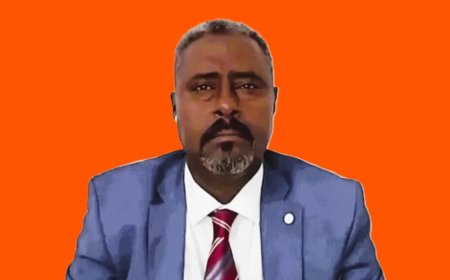 Dagalo adviser says defection expected amid war shifts in Sudan