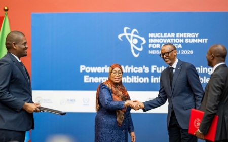 Rwanda, Tanzania sign 'strategic' energy deal