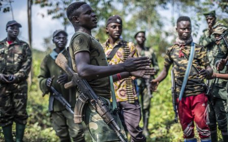 FDLR kills 10 in eastern DR Congo
