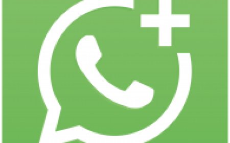 Meta launches premium subscriptions for WhatsApp, Instagram and Facebook