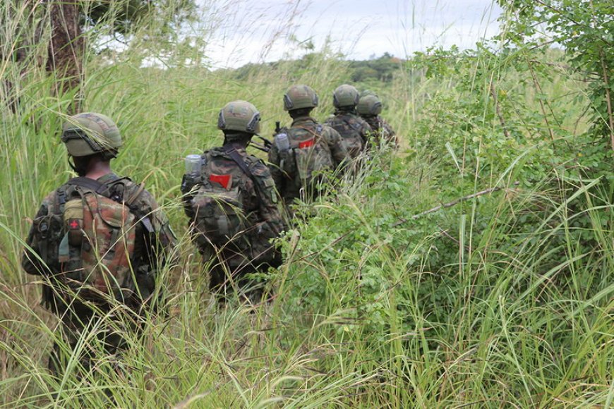 Rwanda in Mozambique: Five Important Facts About Its Cabo Delgado Mission
