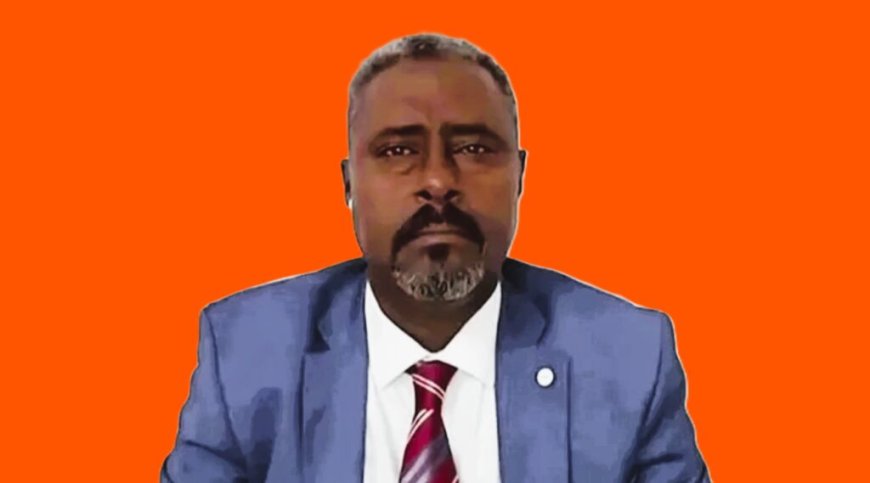 Dagalo adviser says defection expected amid war shifts in Sudan