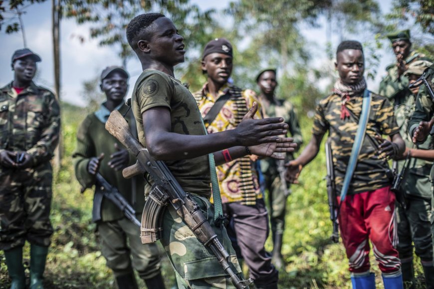 FDLR kills 10 in eastern DR Congo