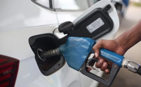 Transport fares remain unchanged as diesel price increases