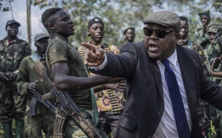 FDLR’s dangerous revival under Tshisekedi