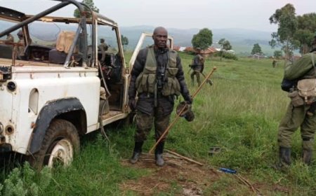 FARDC-Wazalendo Coalition Reportedly Advances Toward Ngungu and Rubaya