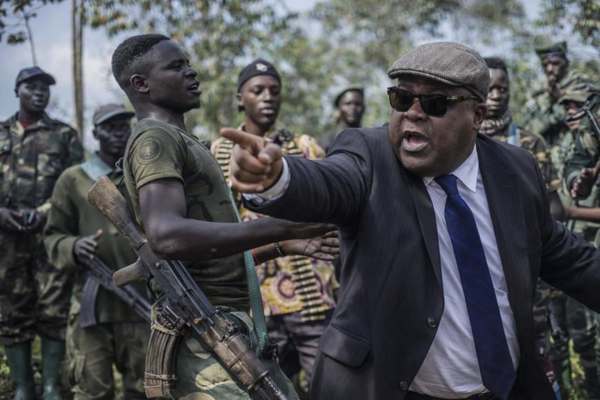 FDLR’s dangerous revival under Tshisekedi