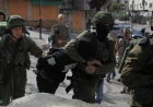 Israeli army detains at least 48 Palestinians across West Bank, 8 injured in attack by occupiers