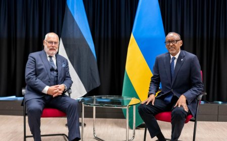 President Kagame, Estonian counterpart discuss ways to strengthen bilateral relations