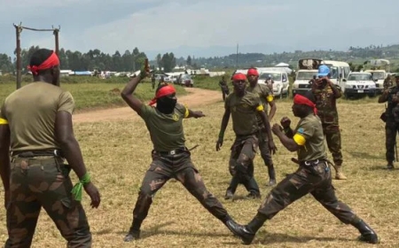 FARDC Soldiers Begin Jungle Warfare Training led MONUSCO