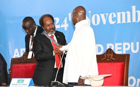 'We'll Be With You': Museveni Vows Support for Somali President