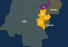 Is Kivu Leaving Kinshasa for Kigali After More Than a Century of Colonial Separation?