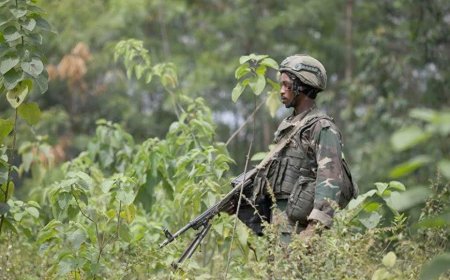 Fighting erupts between AFC/M23 and Wazalendo  in Walikale
