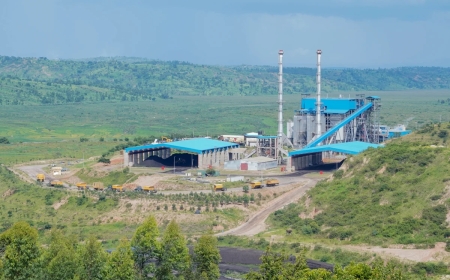 Gisagara peat power plant could reach 70MW under new investor proposal