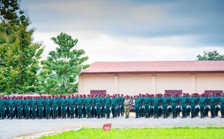 Nearly 700 CAR soldiers graduate from RDF-led training