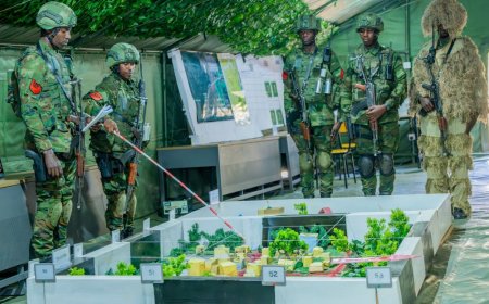 146 RDF officers, other ranks graduate from Military Police training