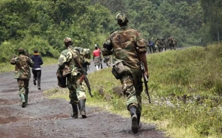 Why Has the FDLR Survived for More Than Three Decades?