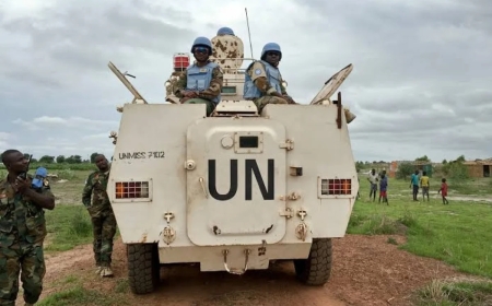 Two UN Peacekeepers Killed in Ambush in South Sudan, UNMISS Says