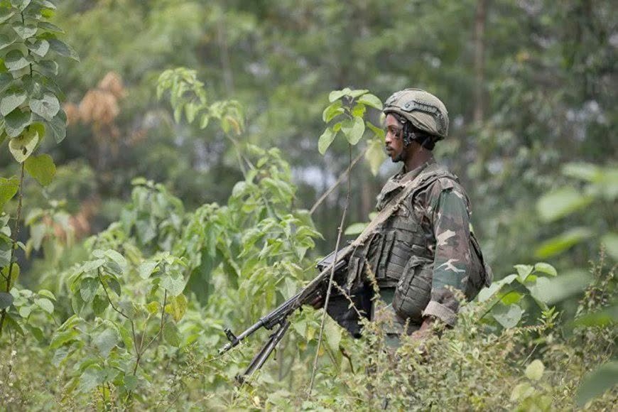 Fighting erupts between AFC/M23 and Wazalendo  in Walikale