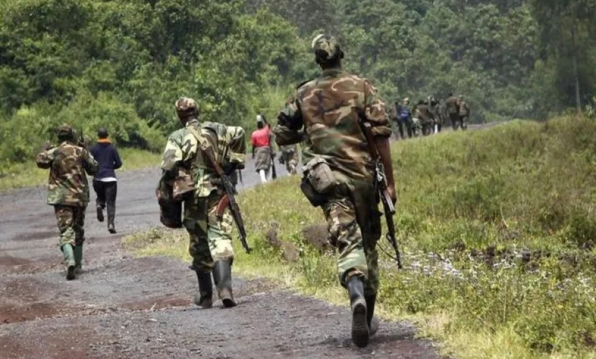 Why Has the FDLR Survived for More Than Three Decades?