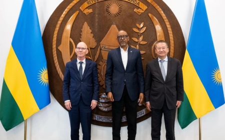 Kagame discusses DR Congo crisis with new head of MONUSCO