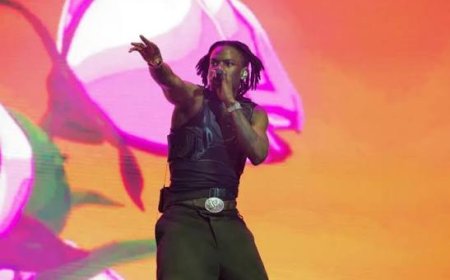 Rema electrifies Kigali in high-Energy Kwita Izina Concert