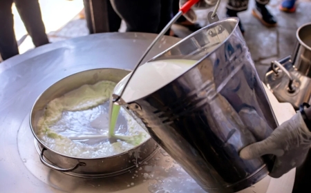 Kigali Milk Shortage Worsens as Drought Hits Rwanda’s Dairy Farmers