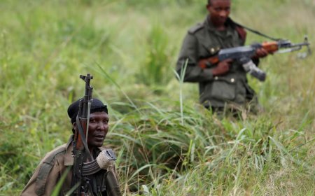 FARDC-backed forces retake several areas in Masisi