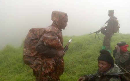 Uvira on high alert as Kabila's FRN  reportedly strengthen positions near Luvungi