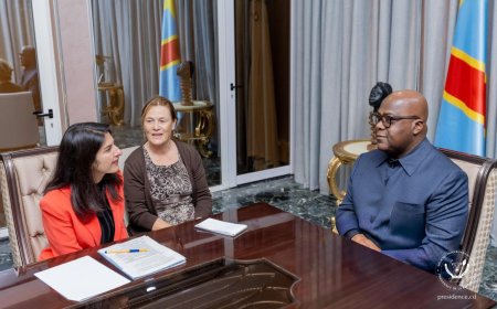 Berlin signals readiness to join diplomatic efforts to end eastern DRC conflict