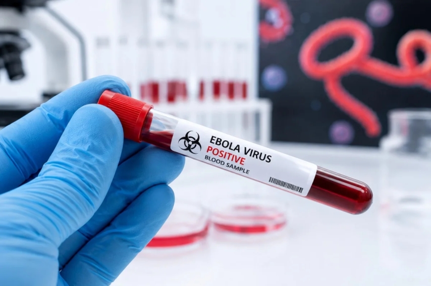 Kenya confirms second ebola case as health authorities intensify surveillance