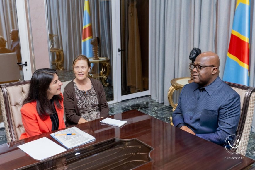 Berlin signals readiness to join diplomatic efforts to end eastern DRC conflict